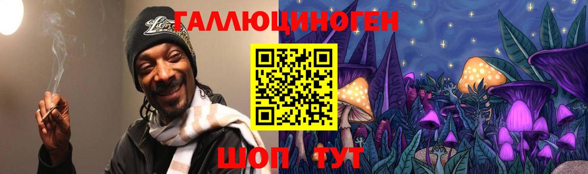 Псилоцибиновые грибы Psilocybine cubensis Советский
