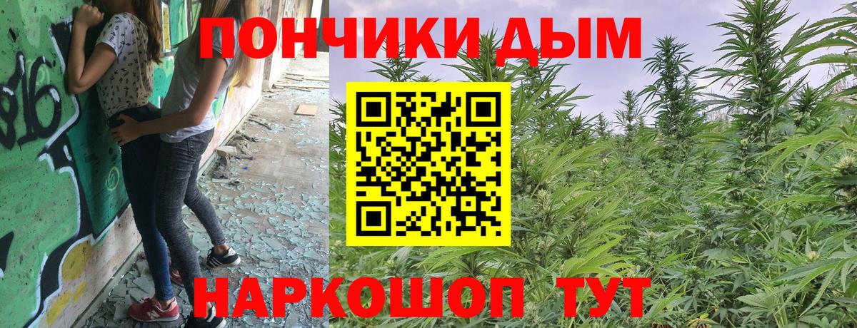 МАРИХУАНА гибрид  Конопля THC 21%  Советский  Марихуана семена  Вход с VPN 
